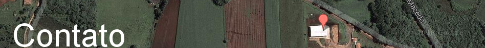 Contato